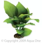 Aqua One  Silk Plant-Sword Radicans 20cm