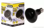 Reptile One Night Heat Lamps : 150w