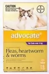 Advocate for Large Cats 4kg & Over : 6pack