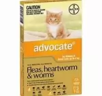 Advocate for Small Cats 0-4kg : 3pack