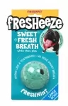 Masterpet Fresheeze Mint Ball Large