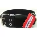web collar