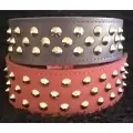 Rottweiler collar