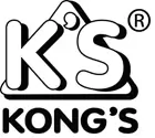 Kongs 1